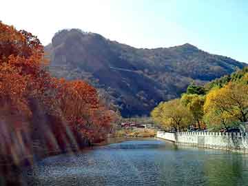 平塘乡新项目，引领乡村发展的全新动力源泉