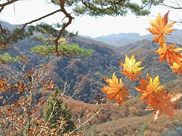 秀峰区医疗保障局人事任命动态更新